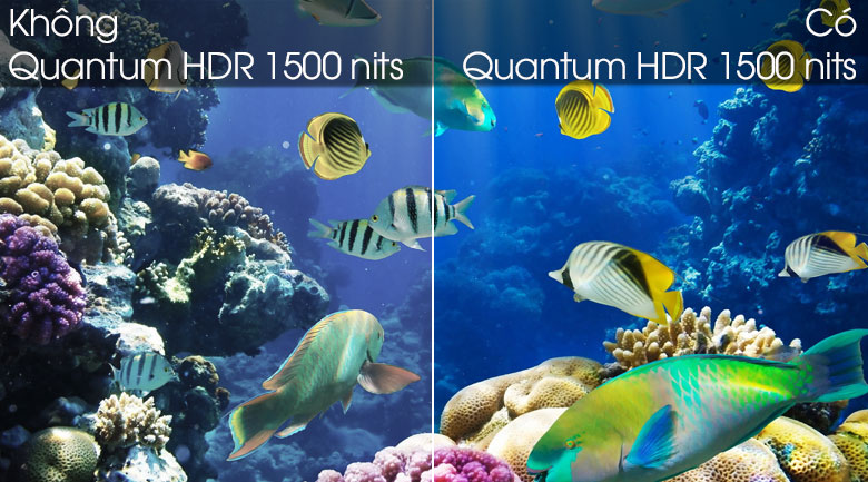 tivi-samsung-75inch-qa75q80t-8