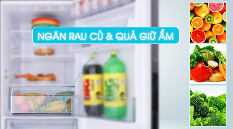 AQR-IG298EB GB