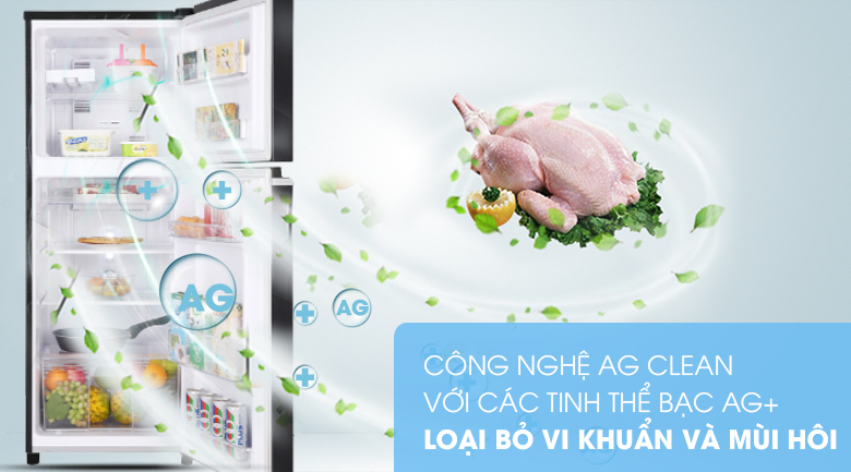 Tủ lạnh Panasonic Inverter 188 lít NR-BA229PKVN