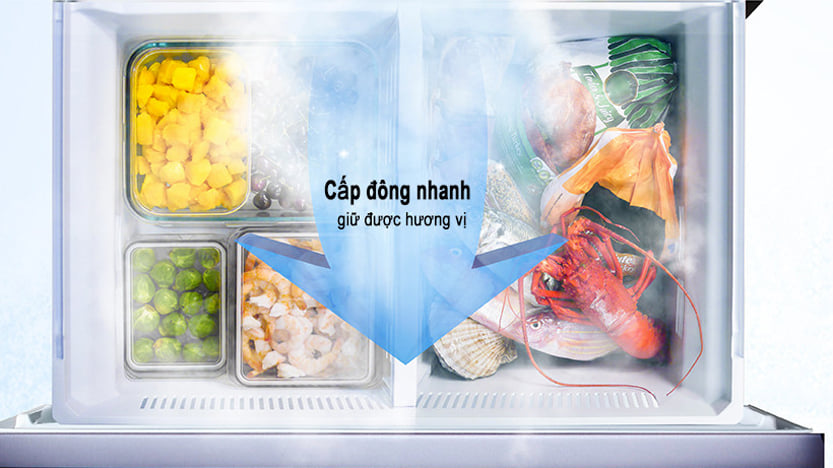 Tủ lạnh Panasonic 618 lít NR-W621VF-T2