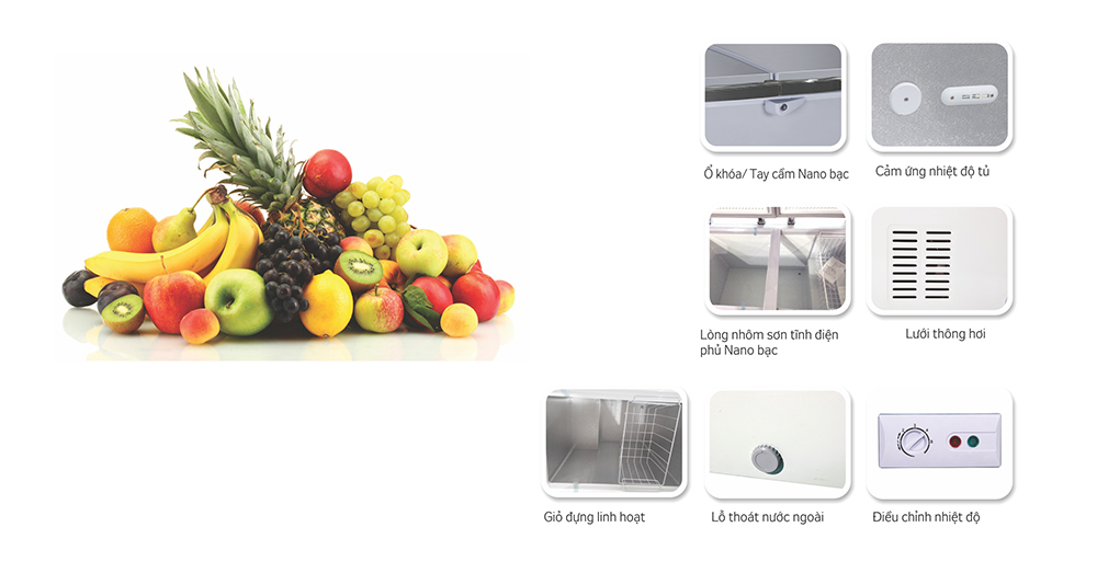 Tủ đông kháng khuẩn Kangaroo KG566VC2