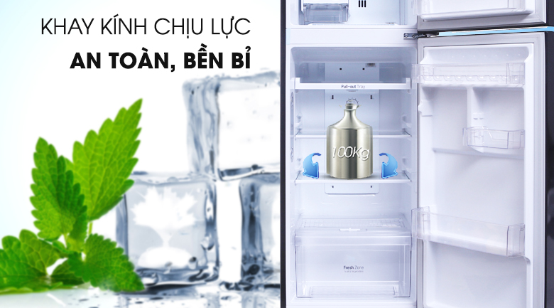 Tủ lạnh LG Inverter 208 lít GN-L208PN