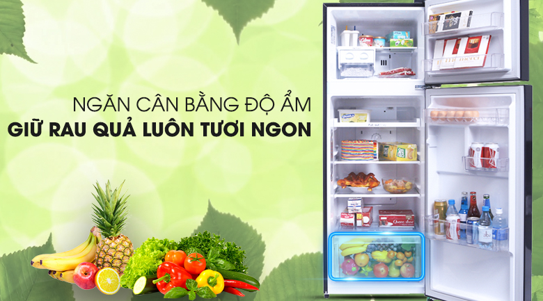 Tủ lạnh LG Inverter 208 lít GN-L208PN