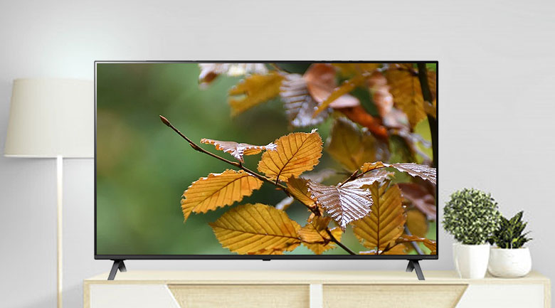 Smart Tivi NanoCell LG 4K 50 inch 50NANO79TND