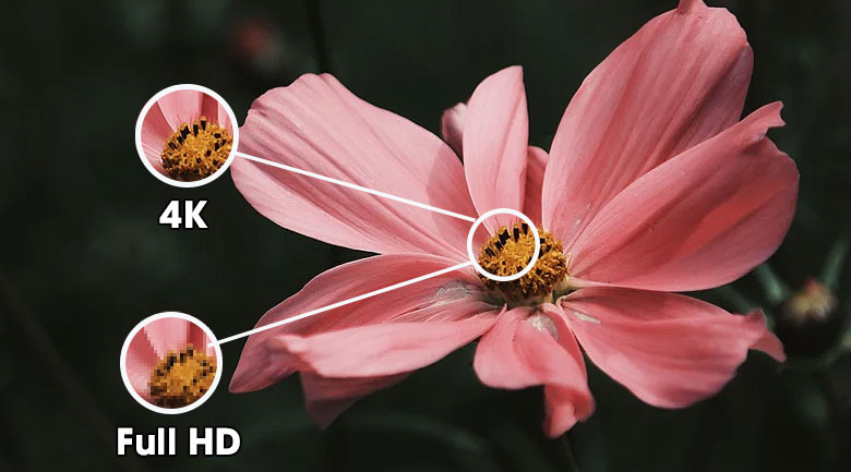 Smart Tivi NanoCell LG 4K 50 inch 50NANO79TND
