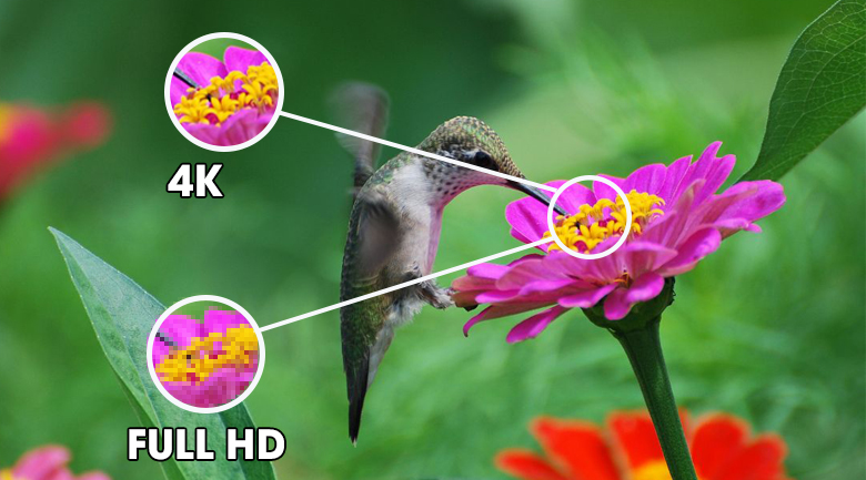 Smart Tivi LG 4K 75 inch 75UP7800PTB