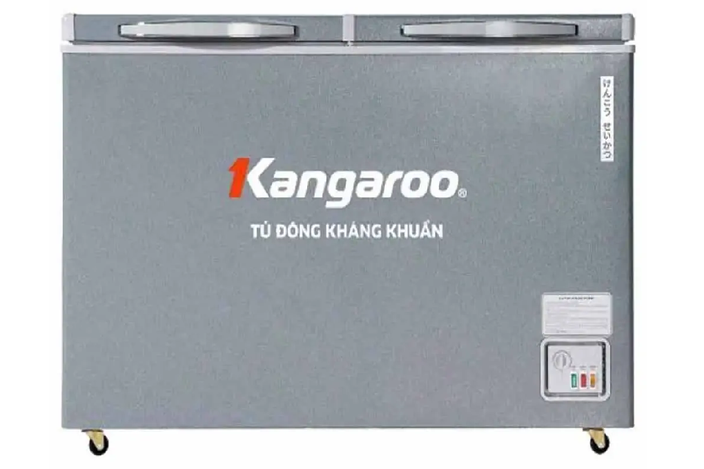 Tủ đông kháng khuẩn 327 lít KGFZ389NG2