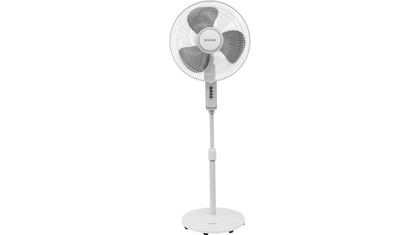 Quạt đứng Sharp không có điều khiển PJ-S40MV-LG