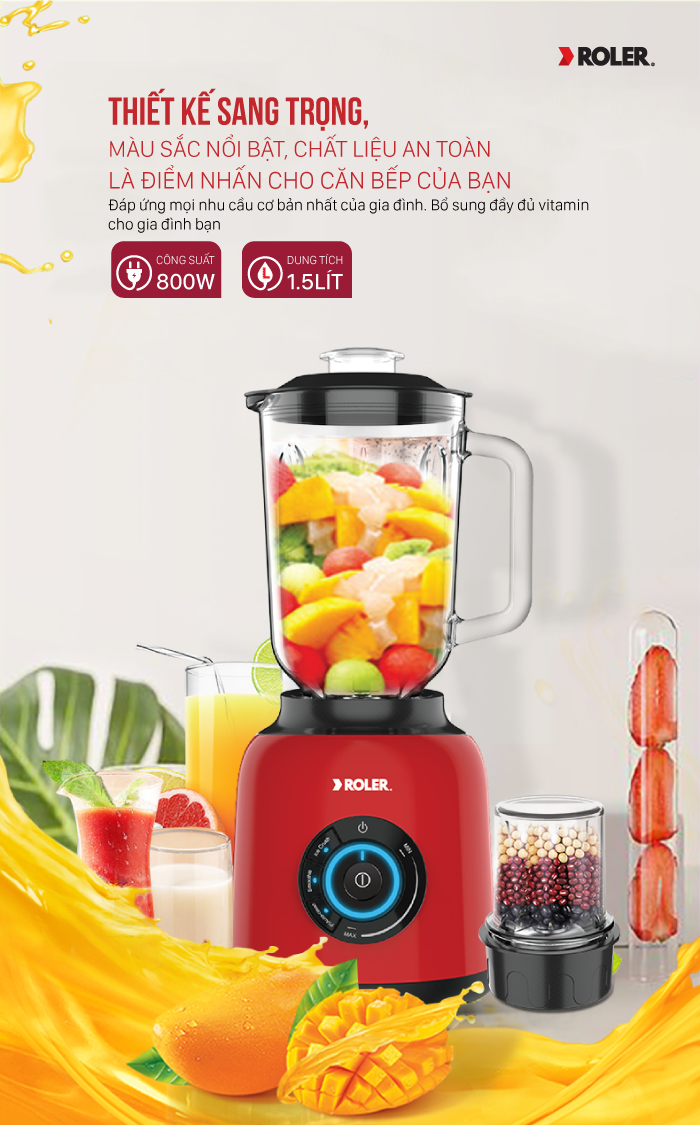 Máy xay sinh tố đa năng Roler RB-4113