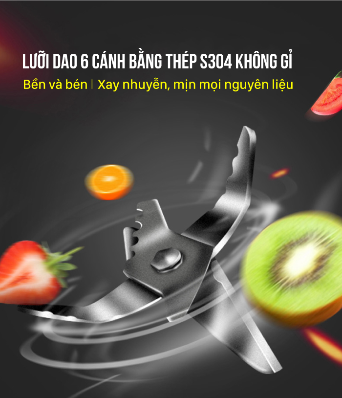 Máy xay sinh tố đa năng Roler RB-4113