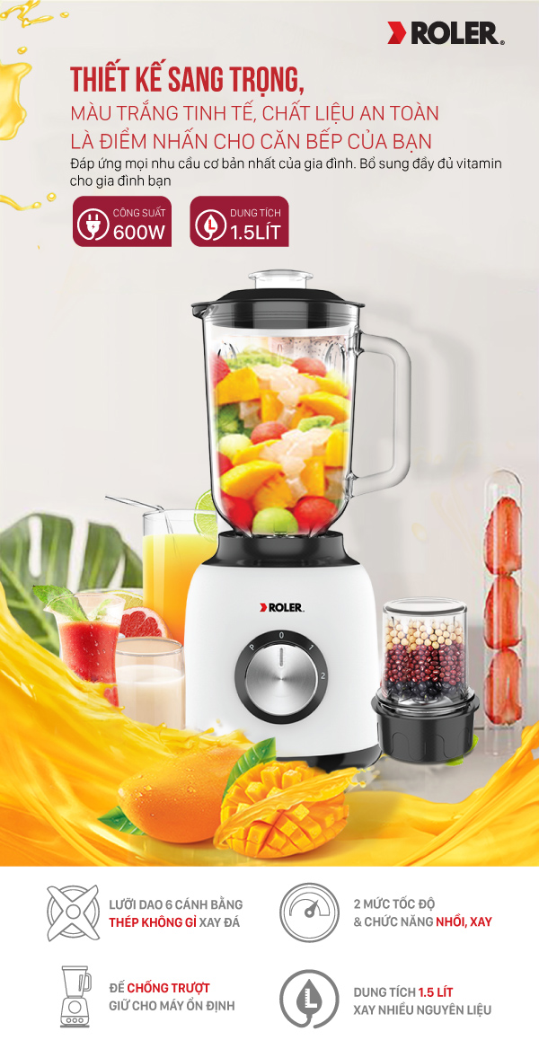 Máy xay sinh tố đa năng Roler RB-4111