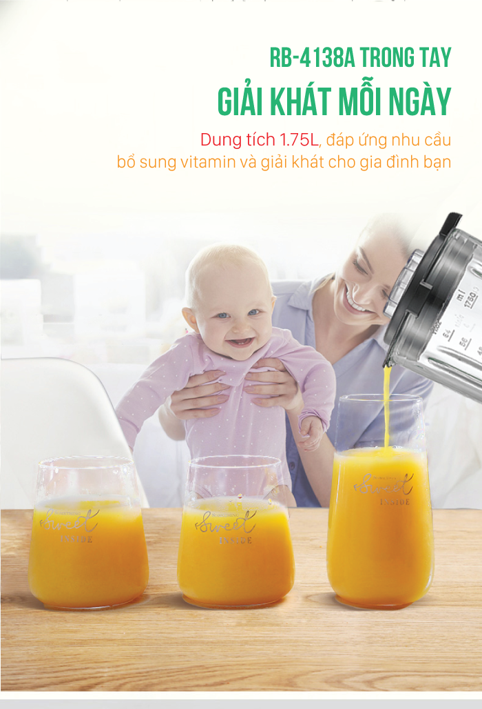 Máy xay sinh tố đa năng Roler RB-4138A (2 in 1)