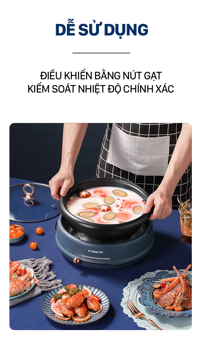 Lẩu điện đa chức năng Coex CH -2119