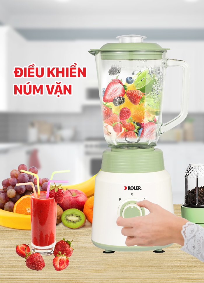 Máy xay sinh tố đa năng ROLER RB - 4115 ( 5 in 1 )
