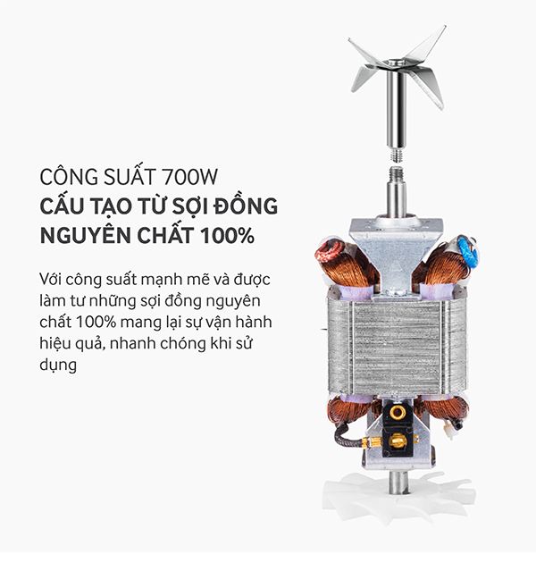 Máy xay sinh tố Roler RB-4118 cao cấp (2in1)