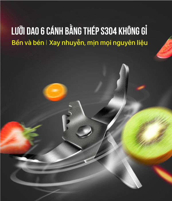 Máy xay sinh tố đa năng Roler RB-4111