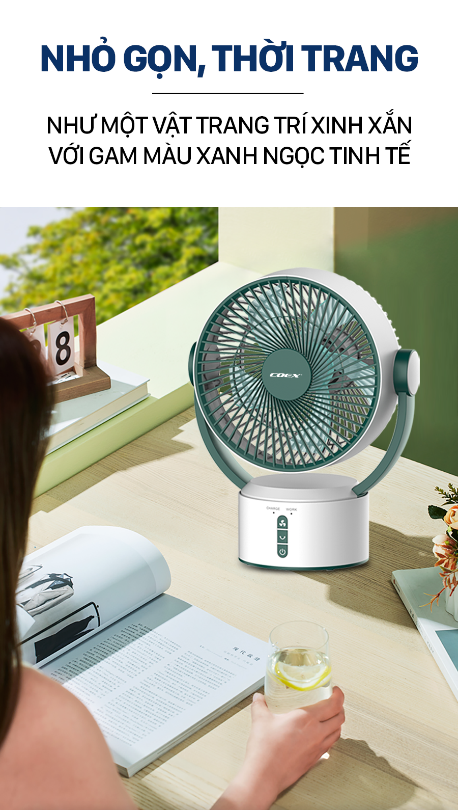 Quạt tích điện Coex - CF-7113R