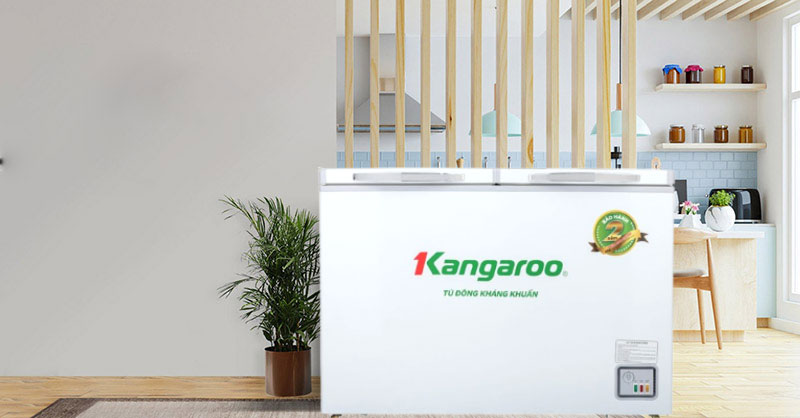 Tủ đông Kangaroo 286 lít KGFZ399NC1