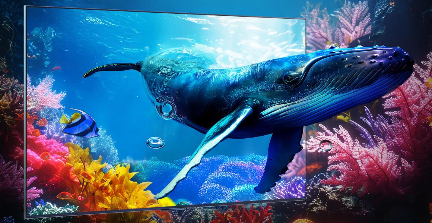 Smart Tivi LG QNED Evo AI Mini LED 4K 65 Inch 65QNED9MASA