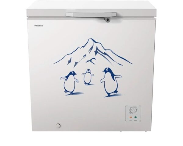 Tủ đông Hisense Inverter 300 Lít FC380D4EWC1