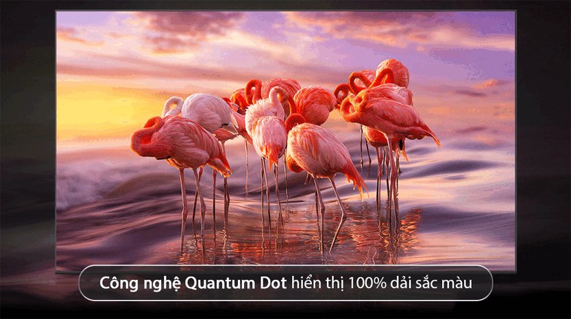 Smart Tivi Samsung Samsung QA75Q7FA