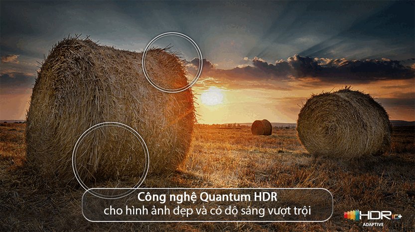 Smart Tivi Samsung Samsung QA75Q7FA